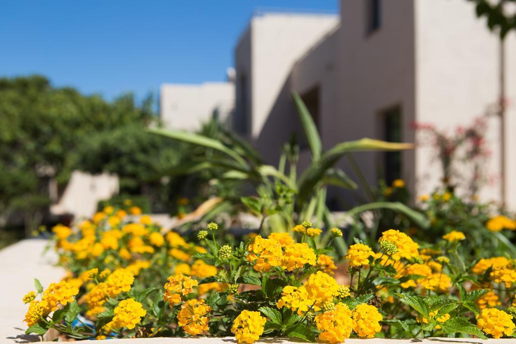 Sundance Apartments & Suites Χερσόνησος Εξωτερικό φωτογραφία